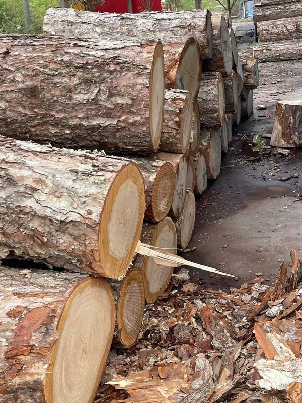 Изготовление фанеры 12-18 мм плоской пленки для лазерной промышленной резки